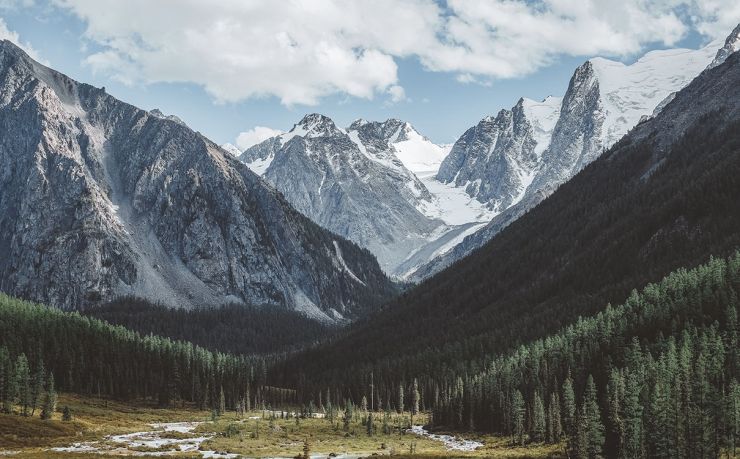 移民希腊的缺点